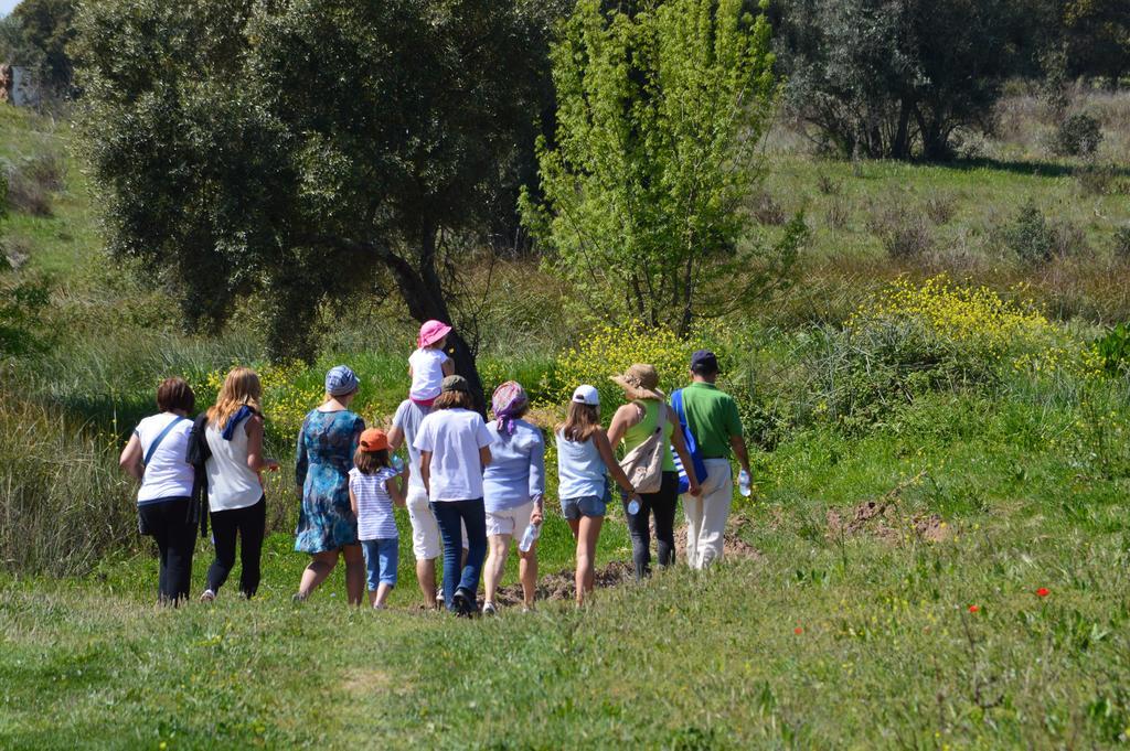 Monte Chalaca - Turismo Rural Ferreira Do Alentejo Eksteriør bilde